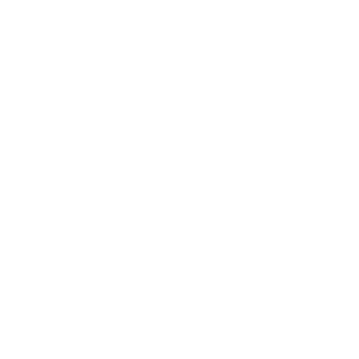 You (Main Character)